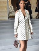 rihanna-at-christian-dior-show-pfw-9