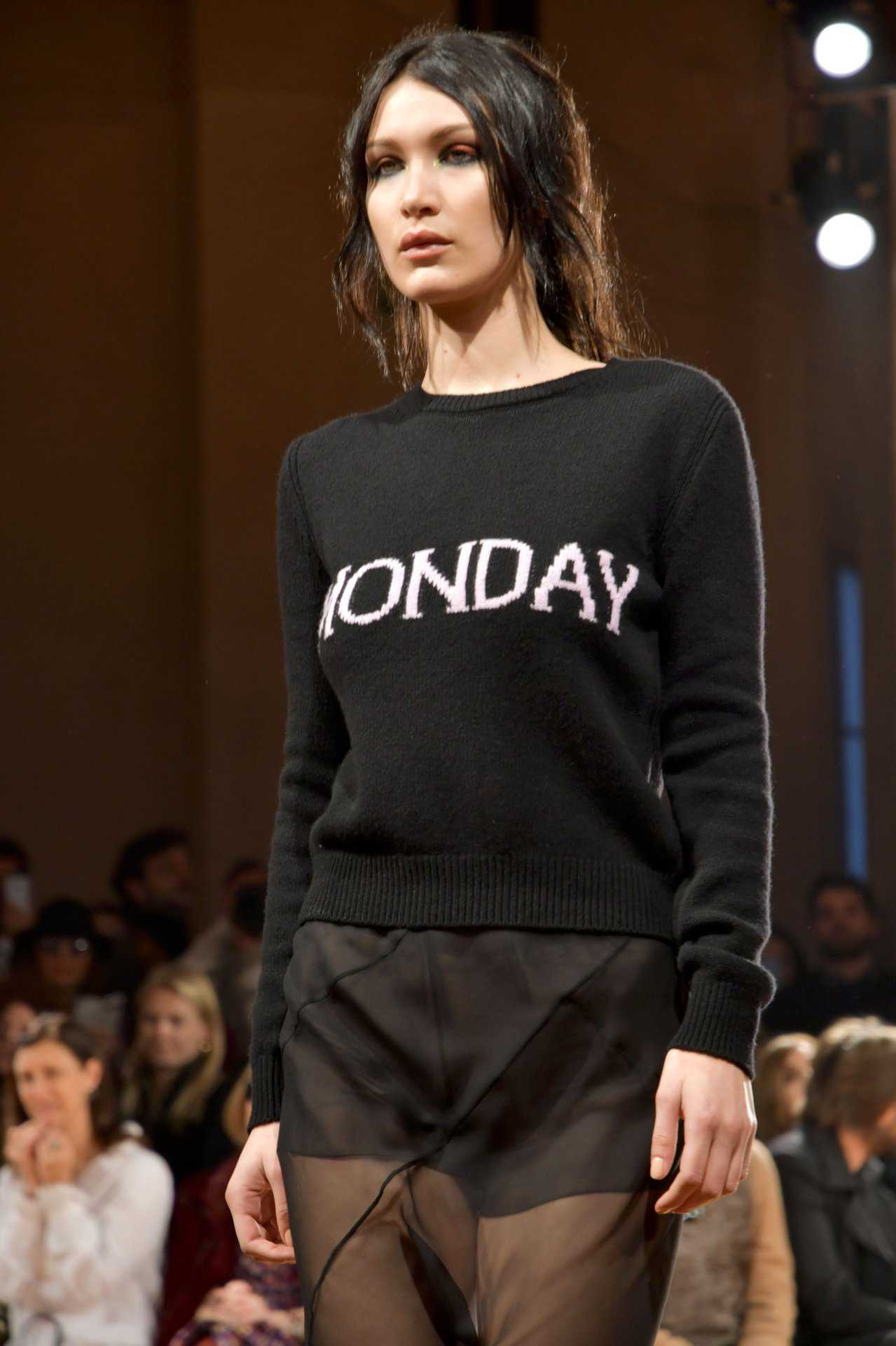 Bella-Hadid-at-Alberta-Ferretti-Fall-2017-Fashion-Show-in-Milan-7