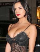 Demi-Rose-See-Through-3