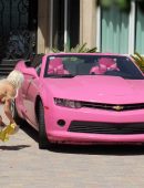 Frenchy-Morgan-601
