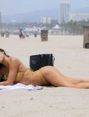 Krislian-Rodriguez-in-Bikini-508