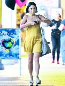 Vanessa-Hudgens-Leggy-125