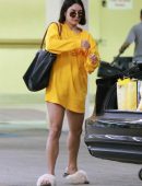 Vanessa-Hudgens-Leggy-472
