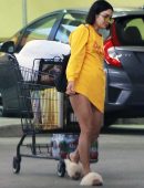 Vanessa-Hudgens-Leggy-493