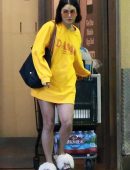 Vanessa-Hudgens-Leggy-499