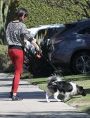 Nina Dobrev in Red Tights walking Dog Maverick in LA