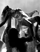 Selena Gomez Performing at 2017 American Music Awards, LA