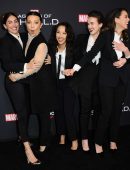 Chloe Bennet - 100th Episode Celebration of Marvel's Agents Of S.H.I.E.L.D. in Hollywood