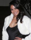 Emmanuelle Chriqui - 12th Annual Los Angeles Ballet Gala in Beverly Hills