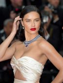 Adriana-Lima-Leggy-587