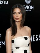 Emily Ratajkowski at the Premiere of Vertical Entertainment's "In Darkness" in Hollywood
