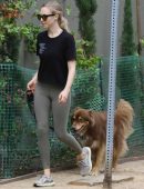 Amanda Seyfried walking her Dog in Los Angeles