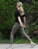 Amanda Seyfried walking her Dog in Los Angeles