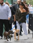 Ariana Grande Walking her Dogs in New York