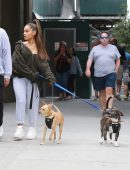 Ariana Grande Walking her Dogs in New York