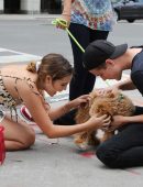 Bailee Madison Out with her Dog and Boyfriend in Toronto