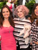 Danica McKellar - 'Burn Cookbook' Boozy Brunch Launch in Los Angeles