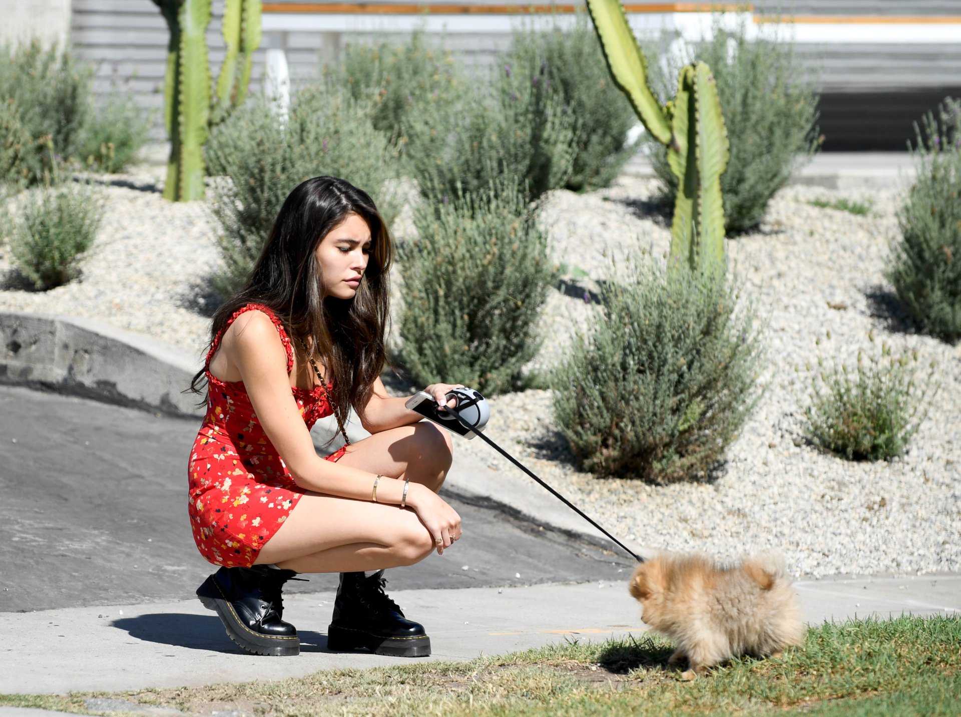 Madison Beer Leggy Walking her Dog in Beverly Hills