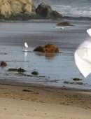 Chrissy Teigen for a Photoshoot on the Beach in Malibu