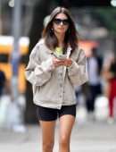 Emily Ratajkowski Leggy, Out and About in NYC