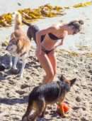 Shauna Sexton in Black Bikini with Dogs on the Beach in Malibu