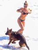 Shauna Sexton in Black Bikini with Dogs on the Beach in Malibu