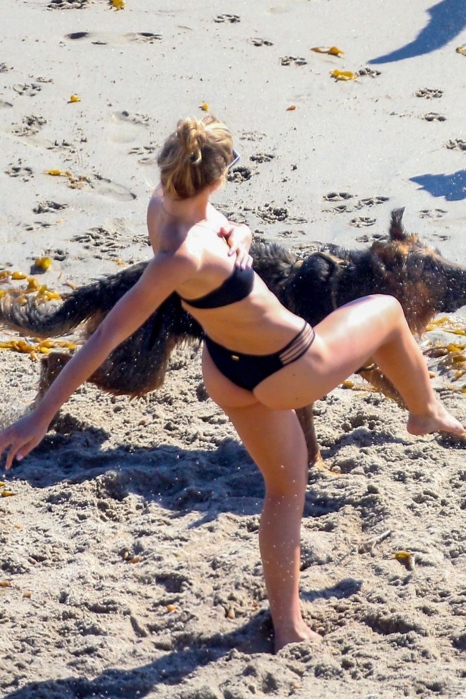 Shauna Sexton in Black Bikini with Dogs on the Beach in Malibu