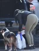 Ariel Winter taking her Dog to the Vet in Sherman Oaks