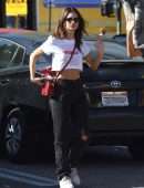 Emily Ratajkowski Out for Lunch in Los Angeles