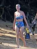 Katy Perry on a Beach in Hawaii