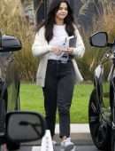 Selena Gomez Out for Lunch in Los Angeles
