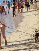 Lauren Silverman in White Bikini, Walking her Dog at Beach in Barbados