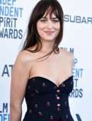 Dakota Johnson - 2019 Film Independent Spirit Awards in Santa Monica