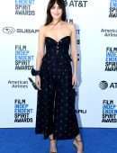 Dakota Johnson - 2019 Film Independent Spirit Awards in Santa Monica
