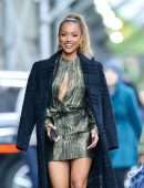 Karrueche Tran Out and About in NYC