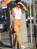 Kendall Jenner Pokies in Braless See-Through Out in West Hollywood