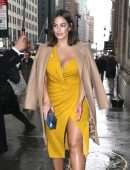 Ashley Graham Upskirt, Wardrobe Malfunction in NYC