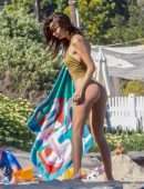 Emily Ratajkowski in Swimsuit on the Beach in Malibu