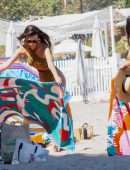 Emily Ratajkowski in Swimsuit on the Beach in Malibu