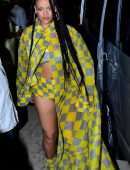 Rihanna Leggy at Buju Banton Concert in Barbados
