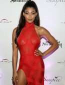 Danielle Herrington in See-through at Sports Illustrated Swimsuit 2019 Issue Launch in Miami