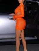 Kylie Jenner Out to Dinner in Los Angeles