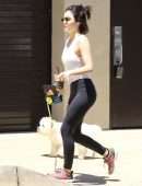 Lucy Hale Walking her Dog Elvis Out in Hollywood Hills