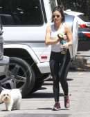 Lucy Hale Walking her Dog Elvis Out in Hollywood Hills