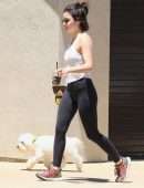 Lucy Hale Walking her Dog Elvis Out in Hollywood Hills