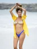 Farrah Abraham in Bikini at the Beach in LA