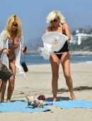 Donna D'Errico Booty in Bikini on the Beach in Malibu