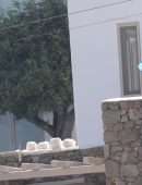 Gigi Hadid Booty, Sunbathing in Bikini with Friends, Mykonos Island