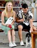 Sophie Turner taking Porky to McCarren Park in Brooklyn