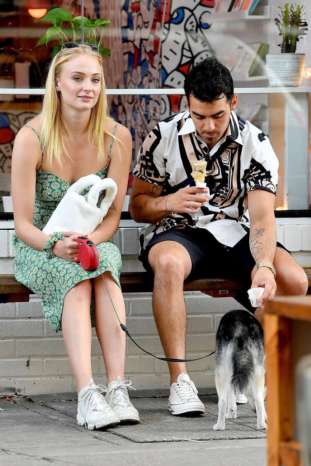 Sophie Turner taking Porky to McCarren Park in Brooklyn